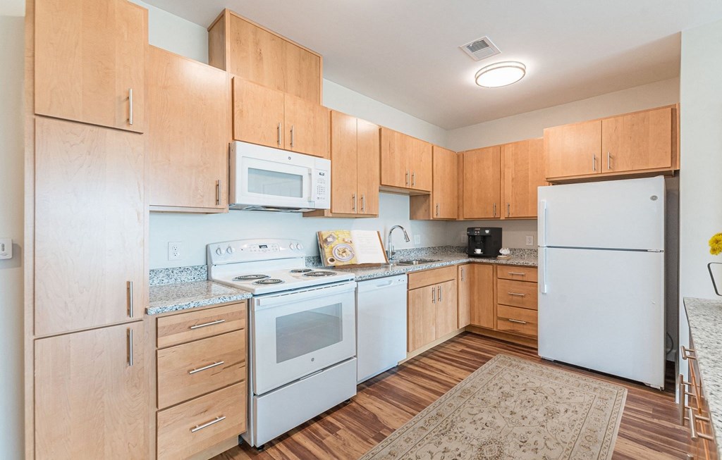 Fully Furnished Kitchen Fully Furnished Kitchen at Briar Park 55+ Apartments, Atlanta
